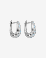 Dazzling Hark Earrings